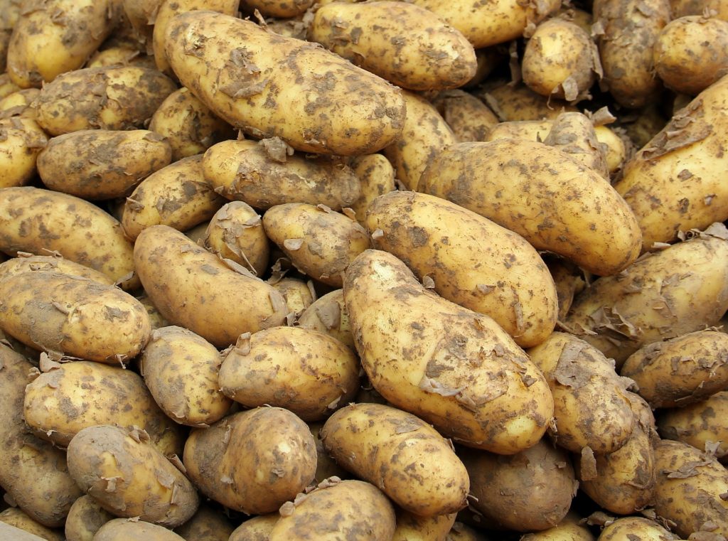 Puñado de patatas crudas