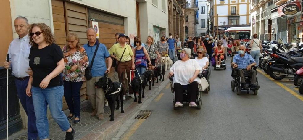 Hilera de personas ciegas con su perro y personas de todo tipo caminando por una acera estrecha mientras personas en silla de ruedas tienen que hacerlo por la calzada